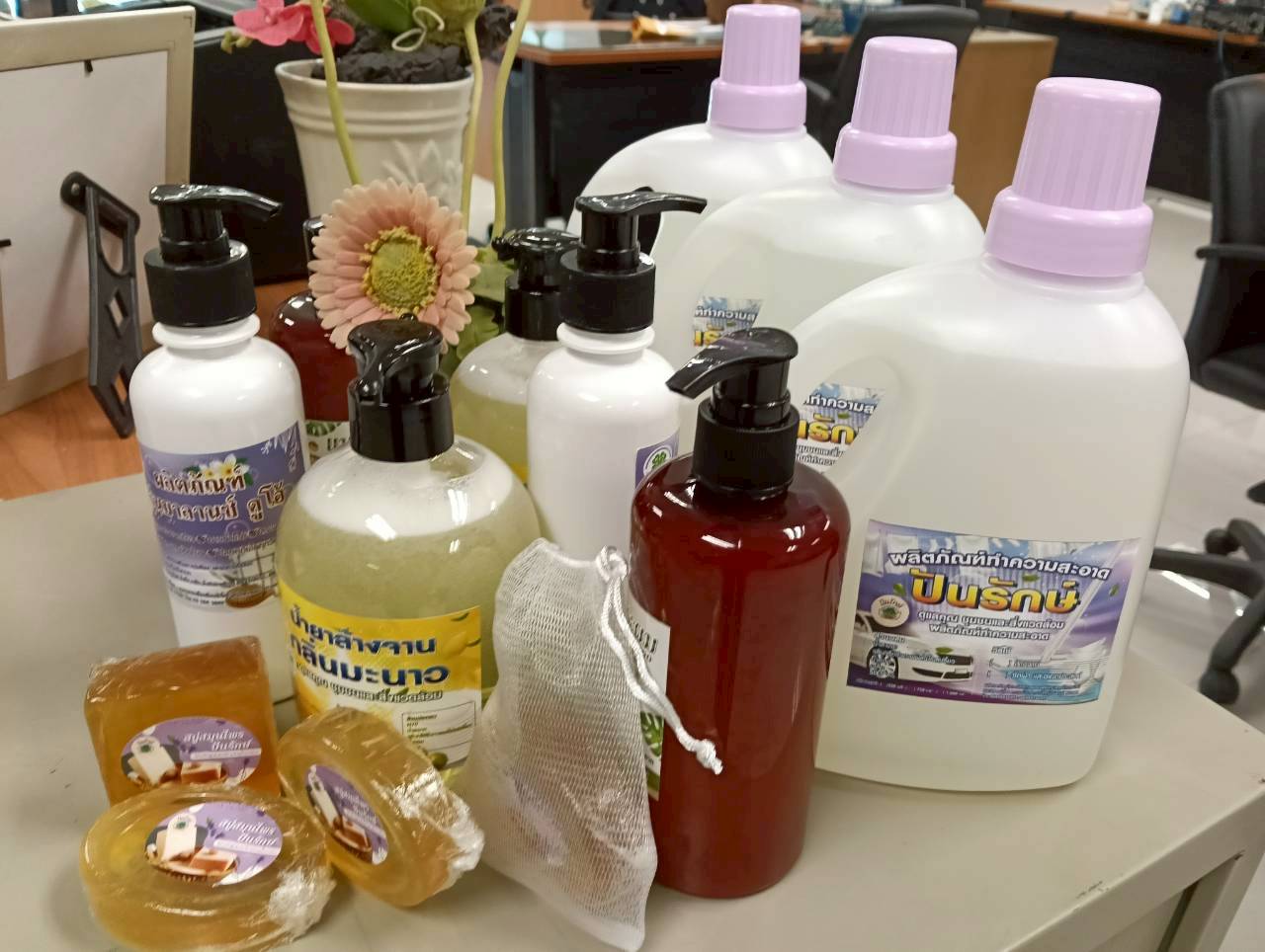 บริการวิชาการ เทศบาลเมืองบางพลับ